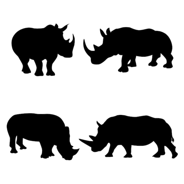 Silhouette De Rhinocéros Sur Fond Blanc