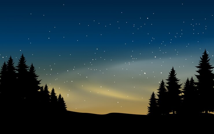 Vecteur silhouette de sapin et nuit étoilée