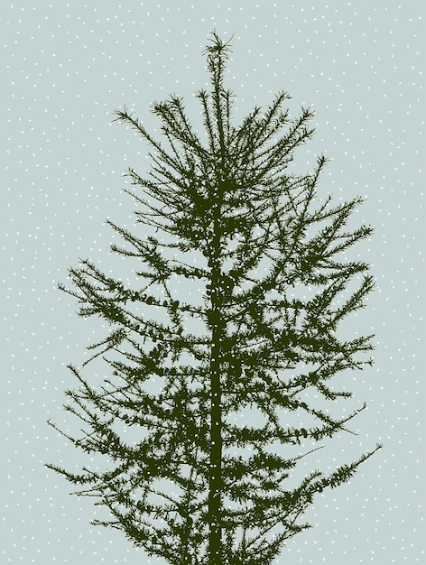 Vecteur silhouette d'un sapin