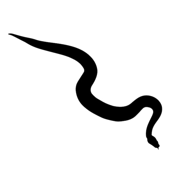Silhouette De Serpent Noir Isolé Sur Fond Blanc