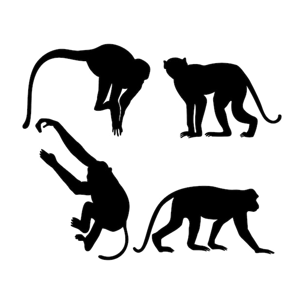 Vecteur silhouette de singe dessiné à la main