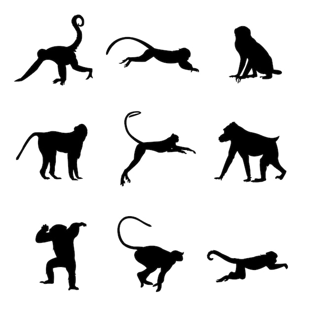 Vecteur silhouette de singe isolé sur fond blanc