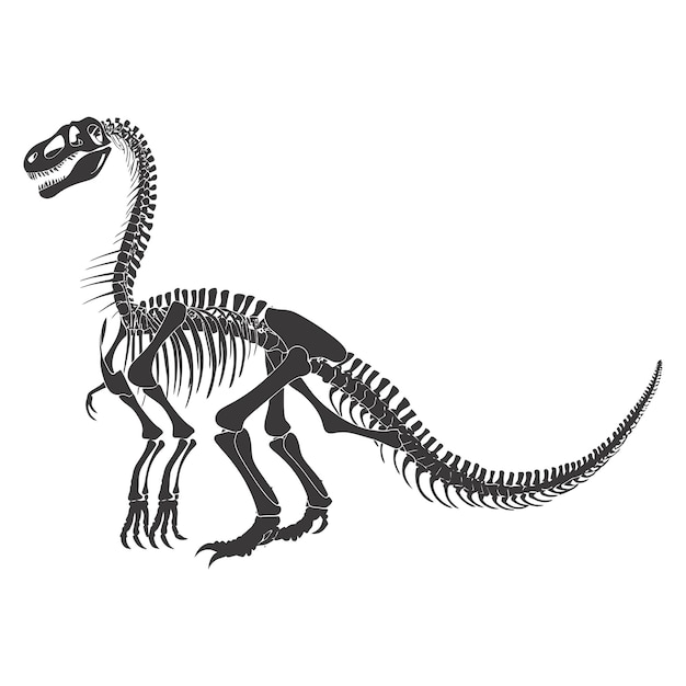 Silhouette Squelette De Dinosaure Couleur Noire Seulement