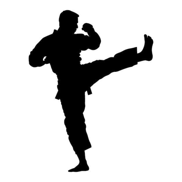 Vecteur silhouette tae kwon do ou karate kick tout le corps couleur noire seulement