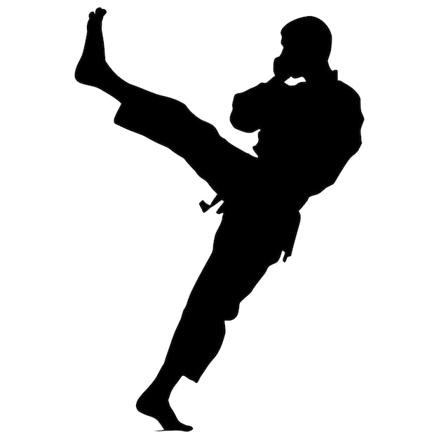 Vecteur silhouette tae kwon do ou karate kick tout le corps couleur noire seulement