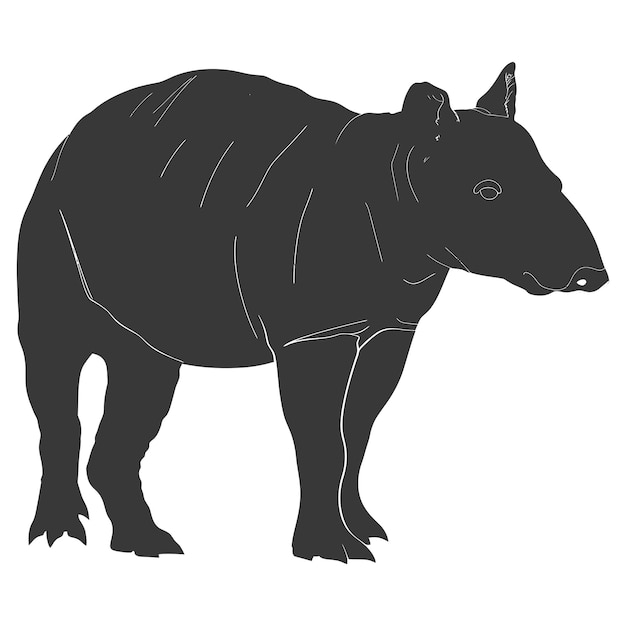 Vecteur silhouette tapir animal couleur noire seulement