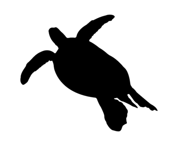 Vecteur silhouette de tortue plat vecteur isolé sur fond blanc