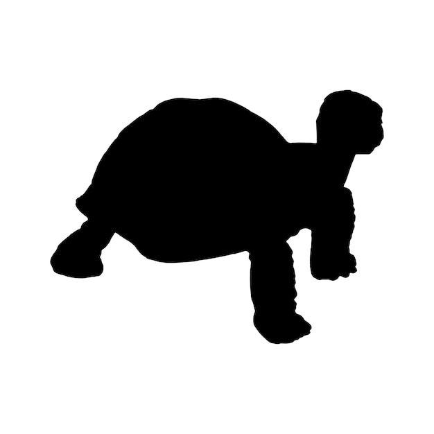 Vecteur silhouette de tortue set collection isolée noir sur fond blanc illustration vectorielle