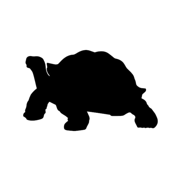 Silhouette De Tortue Set Collection Isolée Noir Sur Fond Blanc Illustration Vectorielle