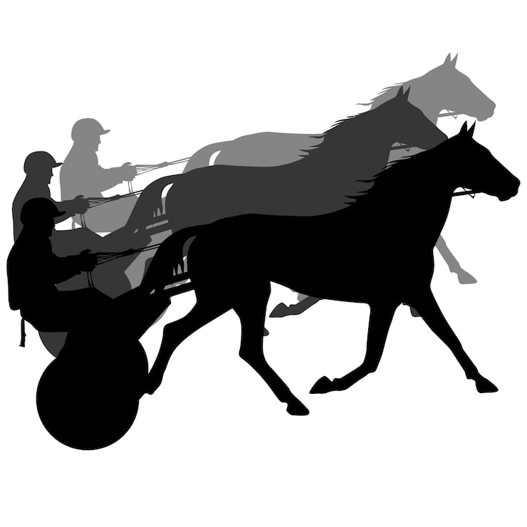 Vecteur silhouette vecteur de cheval et jockey