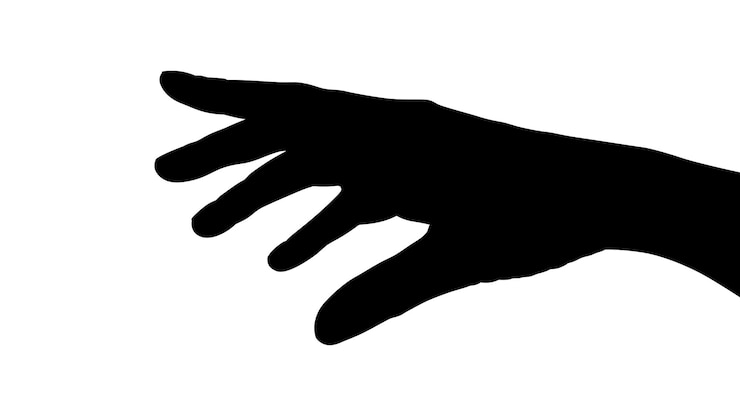 Vecteur silhouette vecteur d'une main sur fond blanc main paume main silhouette main plate noire