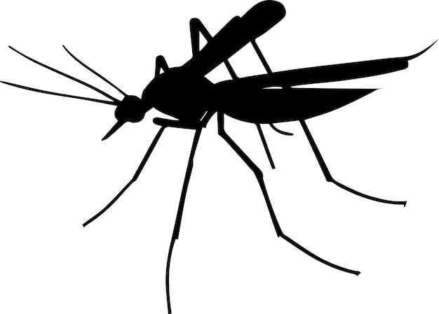 La silhouette d'un vecteur de moustique 2