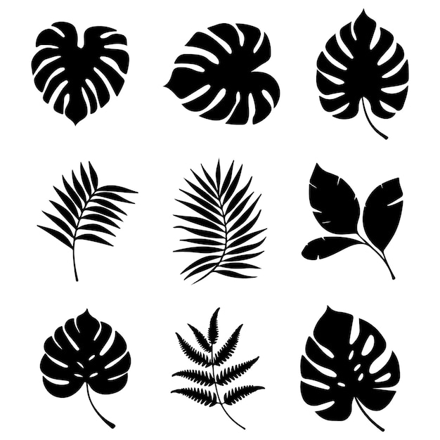 Silhouette vectorielle des feuilles tropicales illustration botanique noire et blanche dessin de feuillage de jungle