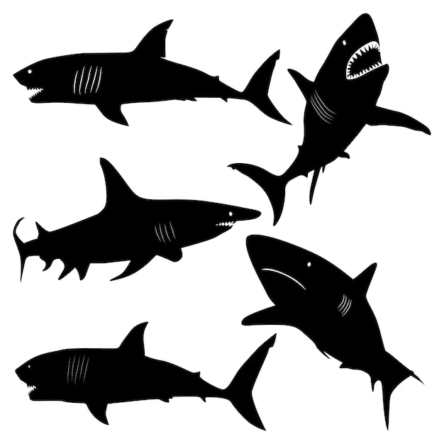 Silhouettes d'animaux de mer Des silhouettes de requins Illustration vectorielle