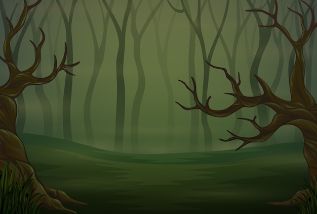 Silhouettes d'arbres dans la forêt de la nuit noire