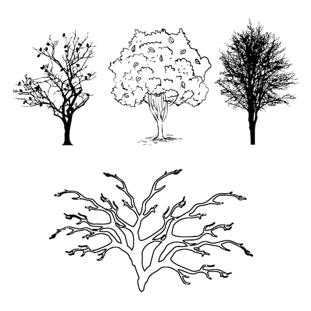 Vecteur silhouettes d'arbres sur fond blanc