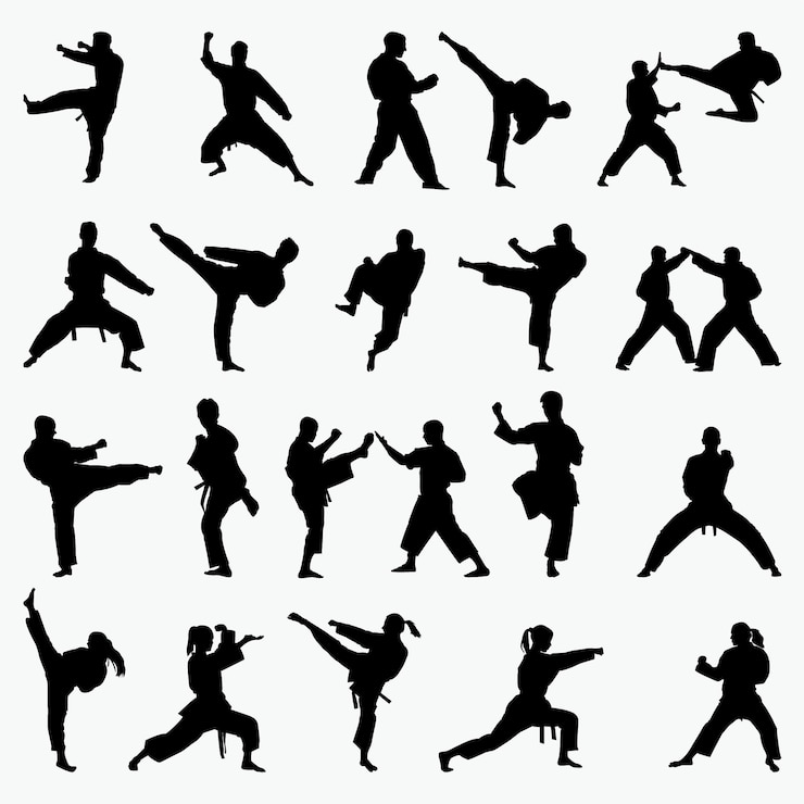 Vecteur silhouettes d&#39;arts martiaux