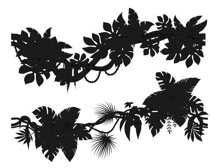 Silhouettes de branches de lianes de la forêt tropicale