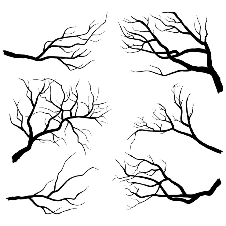 Vecteur silhouettes de branches