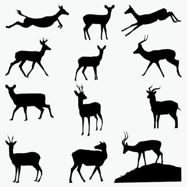 Silhouettes De Cerfs