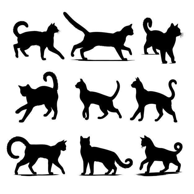 Des silhouettes de chats montrant diverses poses et mouvements
