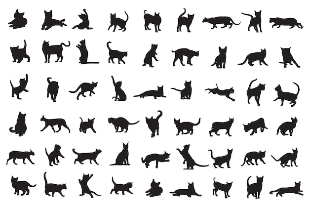 Silhouettes de chats