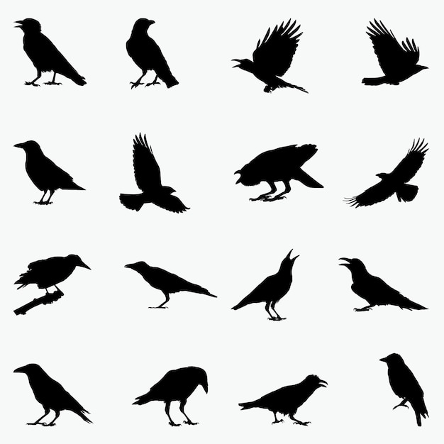 Vecteur silhouettes de corbeau