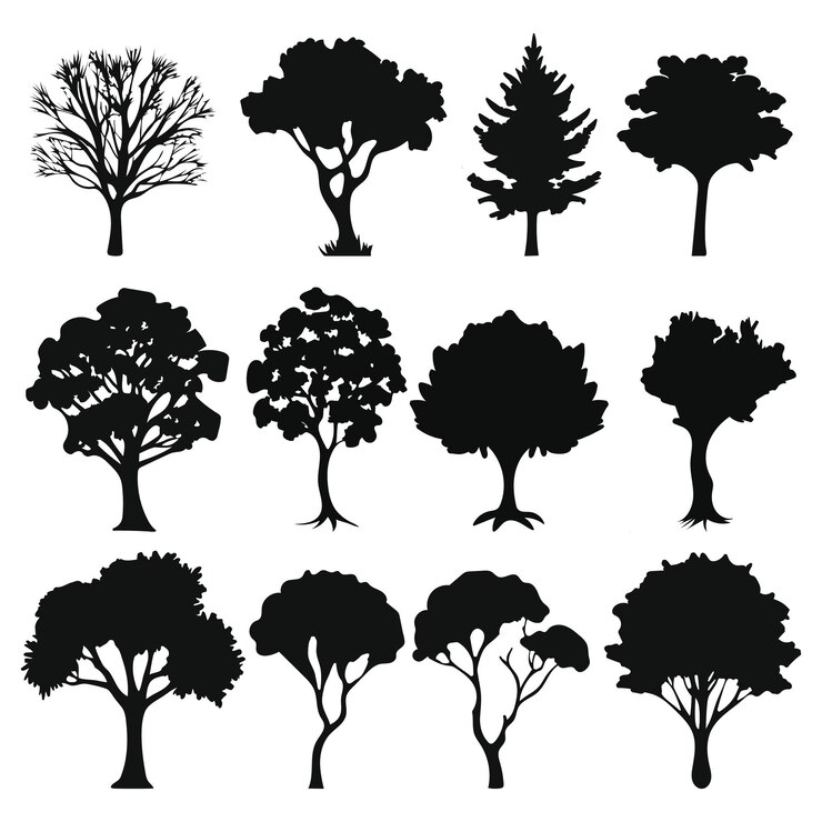 Vecteur des silhouettes détaillées de divers arbres sur fond blanc