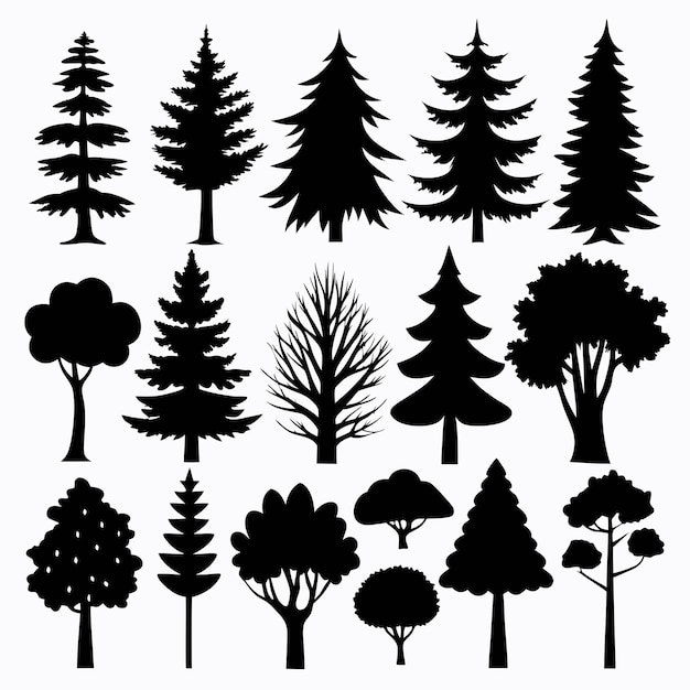 Des silhouettes détaillées de divers arbres sur fond blanc