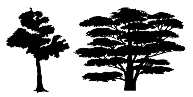 Vecteur silhouettes de deux arbres à feuilles caduques