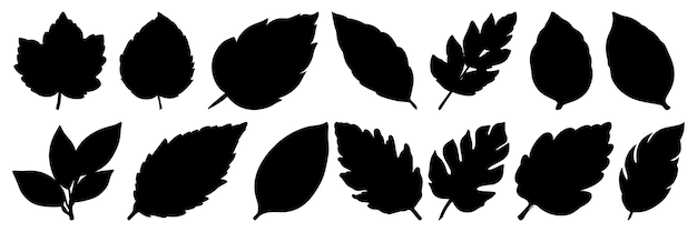 Vecteur les silhouettes de feuilles sont constituées d'un grand paquet de silhouettes vectorielles isolées sur fond blanc