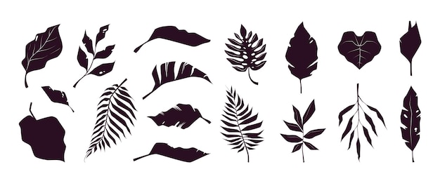 Vecteur silhouettes de feuilles tropicales plantes d'été botaniques exotiques éléments décoratifs monochromes de feuillage de jungle florale collection vectorielle