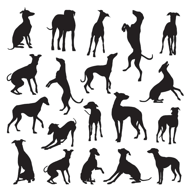 Silhouettes Grey Hound