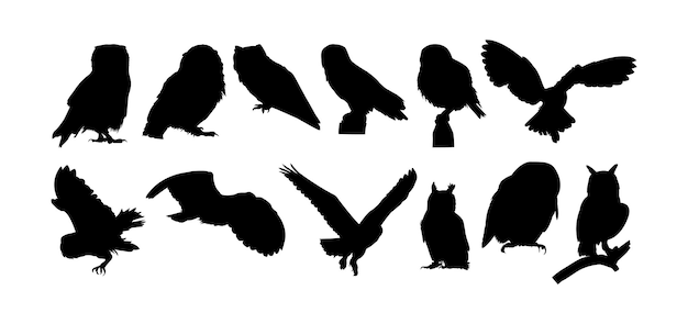 silhouettes de hibou silhouette de vecteur d'oiseau