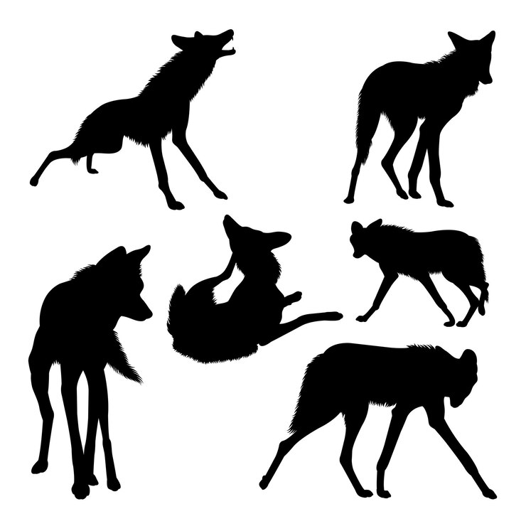 Vecteur silhouettes de mammifères loup à crinière