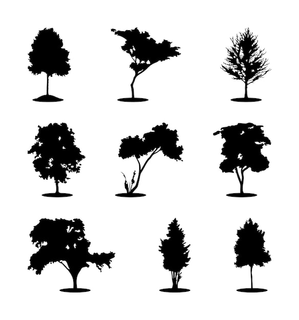 Vecteur silhouettes modernes à la mode ensemble de plantes isolées sur fond blanc, image détaillée. vecteur
