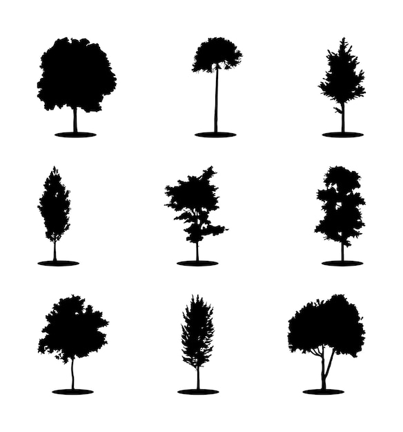 Silhouettes modernes à la mode Ensemble de plantes isolées sur fond blanc, image détaillée. vecteur