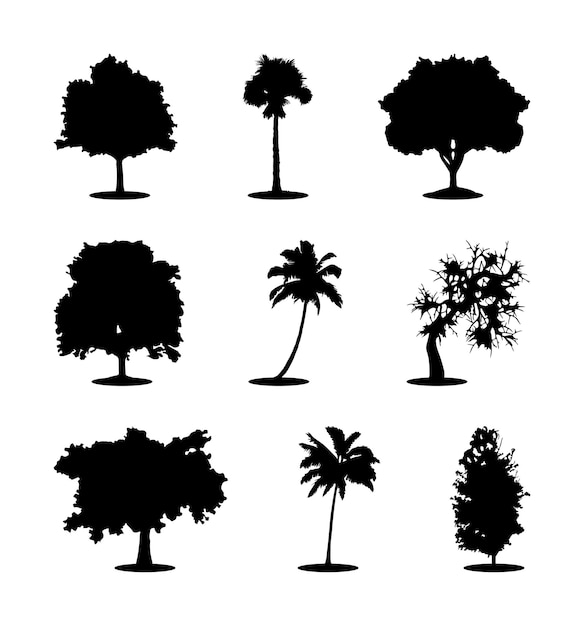 Vecteur silhouettes modernes à la mode ensemble de plantes isolées sur fond blanc, image détaillée. vecteur