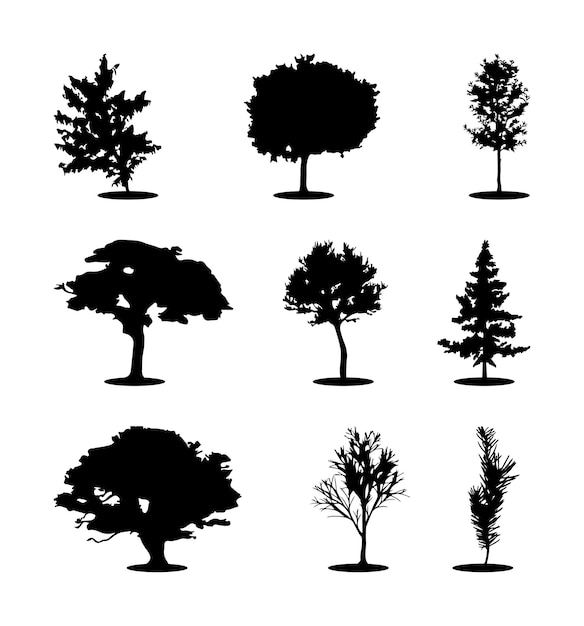 Vecteur silhouettes modernes à la mode ensemble de plantes isolées sur fond blanc, image détaillée. vecteur