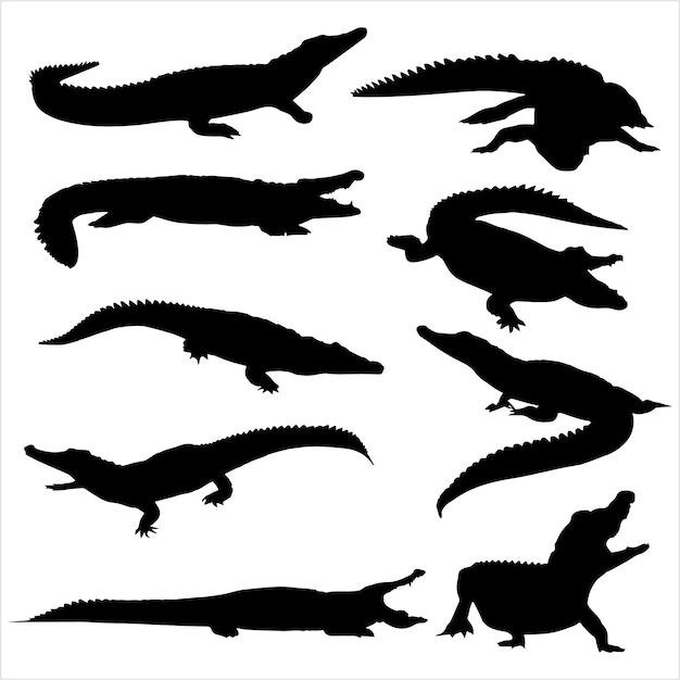 Silhouettes noires d'alligators et de crocodiles sur fond blanc Une illustration vectorielle pour la nature