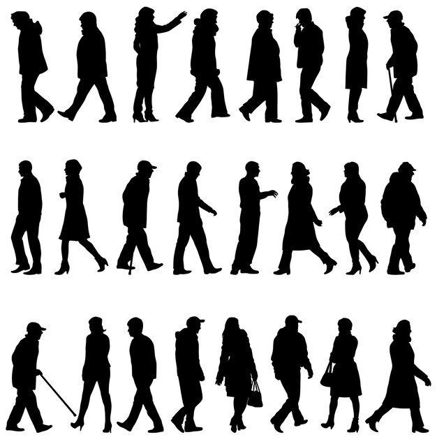 Silhouettes Noires De Beaux Hommes Et Femmes Sur Fond Blanc Illustration Vectorielle