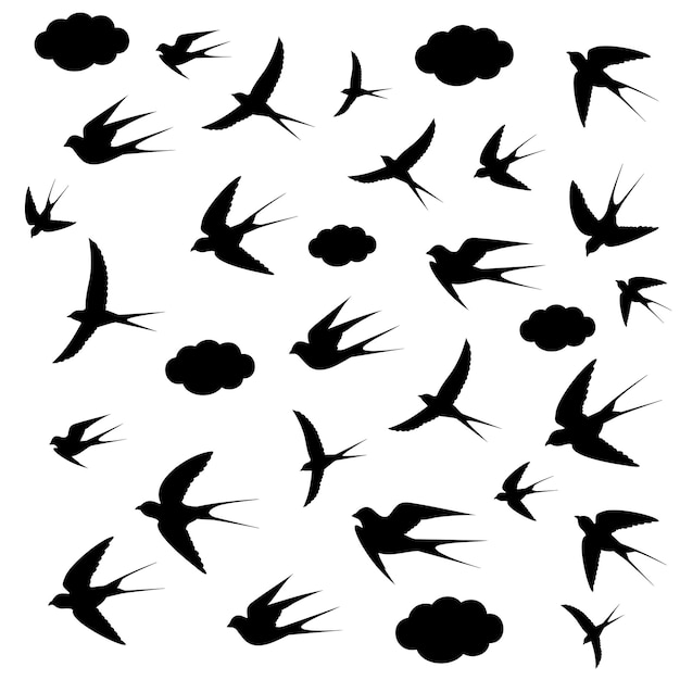 Silhouettes D'oiseaux