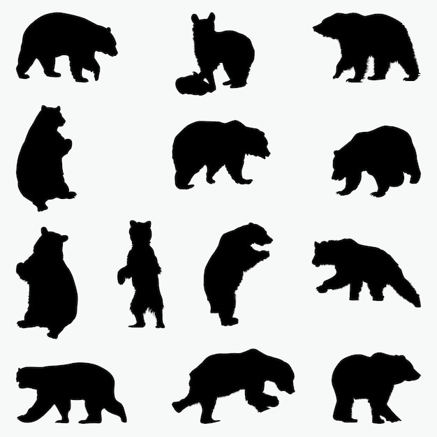 Silhouettes D'ours