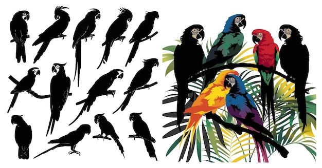 Vecteur des silhouettes de perroquets dans la jungle amazonienne