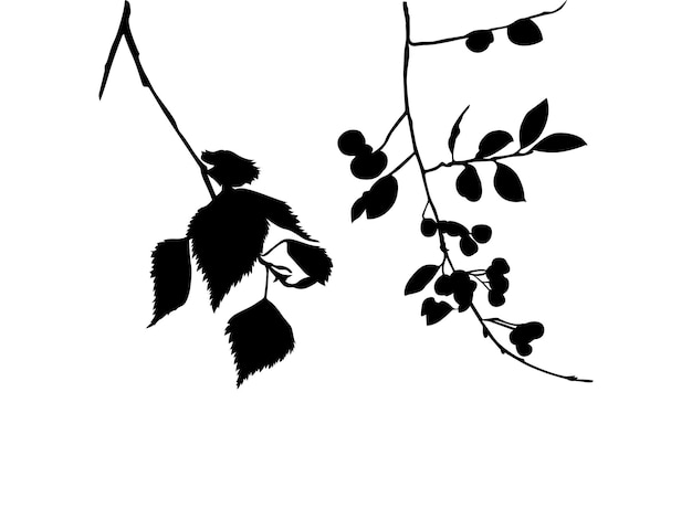 Silhouettes de plantes sous forme d'images vectorielles