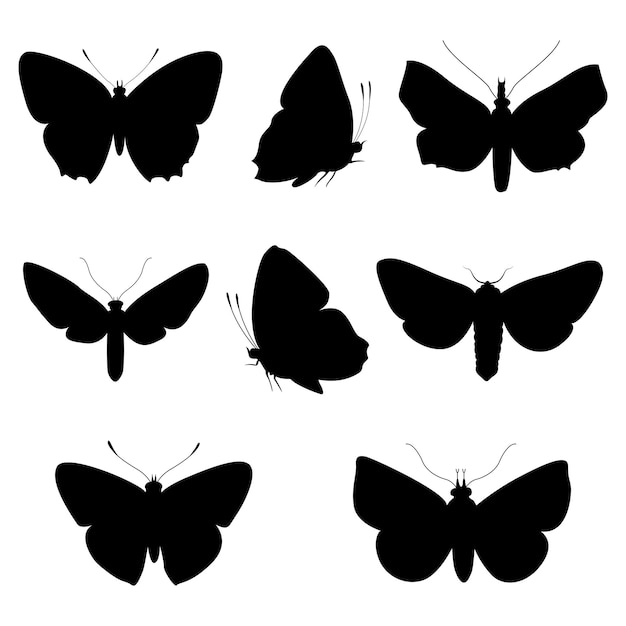 Vecteur silhouettes png de fond de papillon de vecteur