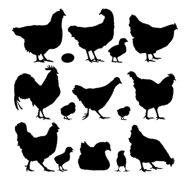 Des silhouettes de poulets et de coqs