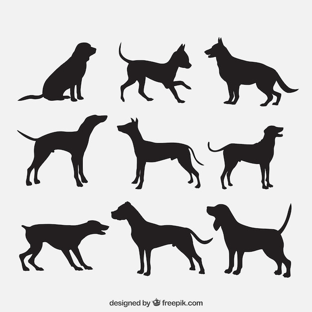 Vecteur silhouettes de races de chiens