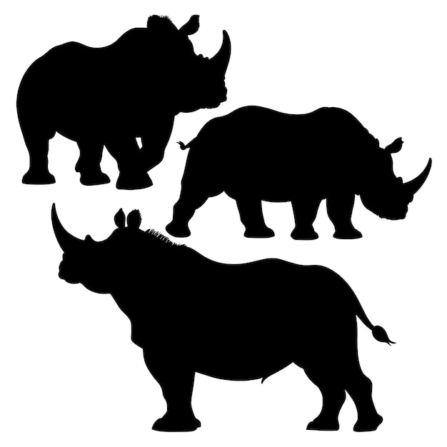 Des Silhouettes De Rhinocéros Sur Blanc