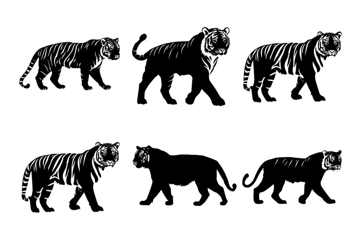Silhouettes de tigres vectorielles